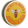 Burt's Bees 蜂蜡护唇膏 （铁盒装）